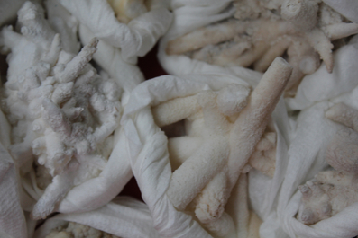 Doos met diverse mineralen en halfedelstenen