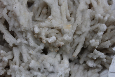 Doos met diverse mineralen en halfedelstenen