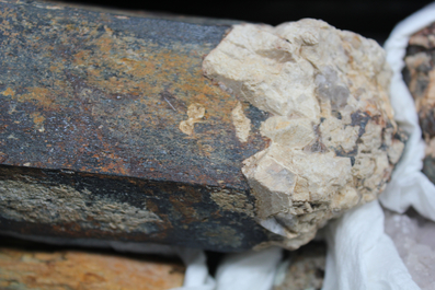 Doos met diverse mineralen en halfedelstenen