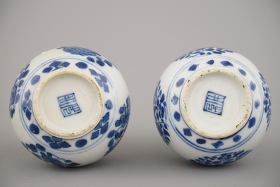 Paire de vases bouteilles en porcelaine de Chine, bleu et blanc, Kangxi