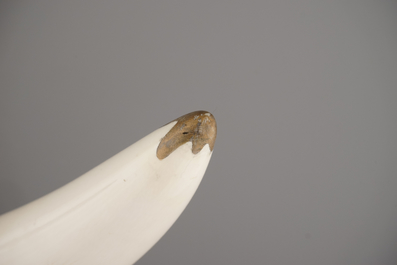 A Chinese or Japanese (?) carved ivory Tusk, 19/20th C.