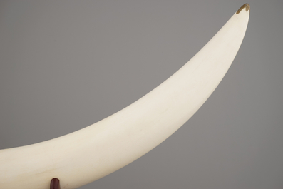 A Chinese or Japanese (?) carved ivory Tusk, 19/20th C.