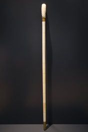 An Anglo-Indian ivory and brass walking stick or cane with a lion's head, 19th C.