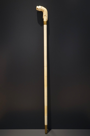 An Anglo-Indian ivory and brass walking stick or cane with a lion's head, 19th C.