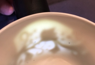 Une tasse et soucoupe en porcelaine de Chine famille rose &agrave; d&eacute;cor en relief d'&eacute;cureuils, Yongzheng, 1723-1735
