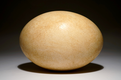 An intact elephant bird egg, Aepyornis maximus, Madagascar, 17th C. or before