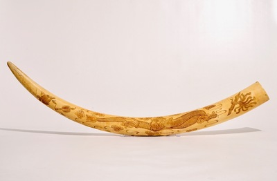 A large Chinese carved ivory tusk, early 20th C.