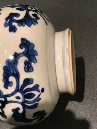 A pair of Chinese blue and white bottle vases, Kangxi