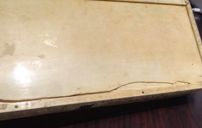 A large rectangular Chinese carved ivory casket, Canton, 19th C.