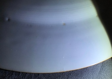 A pair of Chinese famille rose plates with a Dutch nobleman, Qianlong