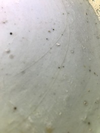 A Chinese blue and white fish bowl with design of prunus on cracked ice, 19th C.