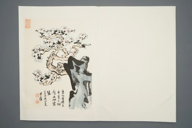 Un grand album chinois de peintures de branches fleuries, 19/20&egrave;me