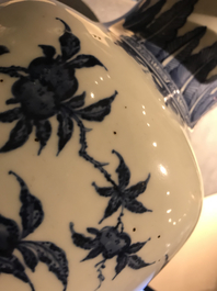 Een Chinese blauwwitte vaas met 'sanduo' decor, 19/20e eeuw