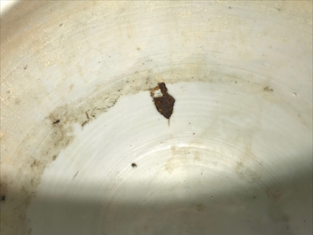 Een blauwwitte Chinese gemberpot met spelende jongens, Kangxi