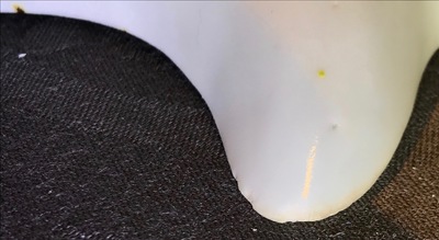 Een paar Japanse Kakiemon-stijl schotels in de vorm van een karper, Hizen, Edo, 17e eeuw