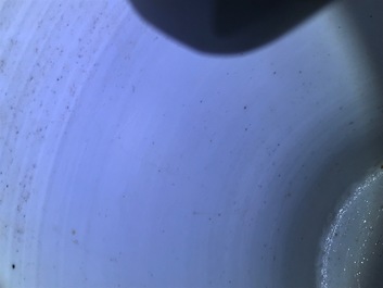 A Chinese blue and white "Phoenix" vase, Kangxi