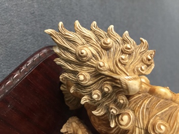 A Chinese carved ivory group of Buddhist lions playing with a ball, 19/20th C.