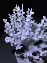 A Chinese blanc de Chine model of a tree, Kangxi
