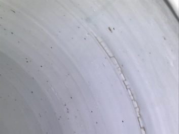 Une paire de grands vases couverts en porcelaine de Chine bleu et blanc, Kangxi
