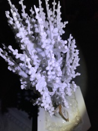 A Chinese blanc de Chine model of a tree, Kangxi