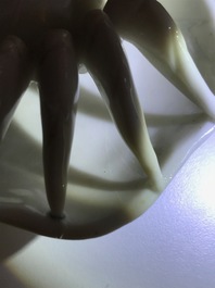 Een Chinese Dehua blanc de Chine waterdruppelaar in de vorm van een krab, Kangxi