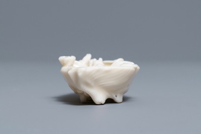 A Chinese Dehua blanc de Chine 'lobster on artemisia leaf' water dropper, Kangxi