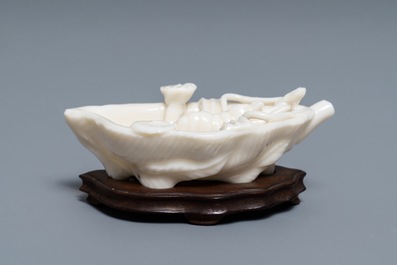 A Chinese Dehua blanc de Chine 'lobster on artemisia leaf' water dropper, Kangxi