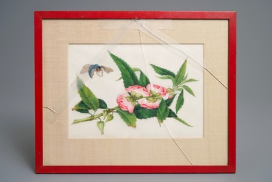 Ten Chinese framed rice paper paintings with mostly butterflies and birds, Canton, 19th C.