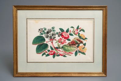 Ten Chinese framed rice paper paintings with mostly butterflies and birds, Canton, 19th C.