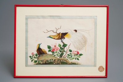 Ten Chinese framed rice paper paintings with mostly butterflies and birds, Canton, 19th C.