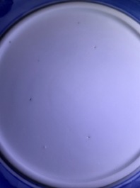 Un bol couvert sur pr&eacute;sentoir en porcelaine de Chine bleu et blanc, marque de Chenghua, Kangxi