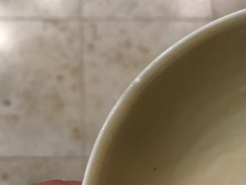 Een Chinese famille verte zeemleer dekselkom, Kangxi