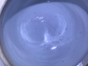 A Chinese blue and white covered vase with floral design, Kangxi