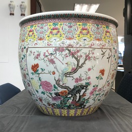 A large Chinese famille rose fish bowl with birds among flowers, 19th C.