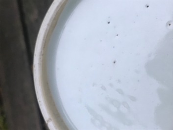 A Chinese blue, white and underglaze red yuhuchunping vase, Qianlong