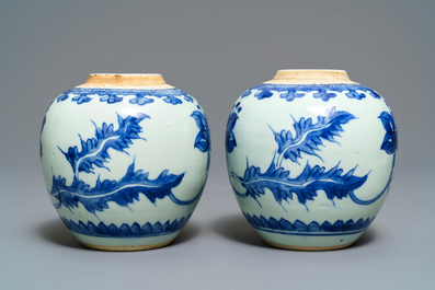 A pair of Chinese blue and white jars with floral design, Kangxi