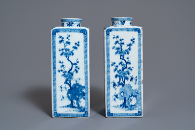 Een paar Chinese blauw-witte theebussen met floraal decor, Kangxi