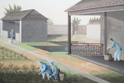 Chinese school, Canton, watercolour on paper, 19th C.: Four tea production scenes