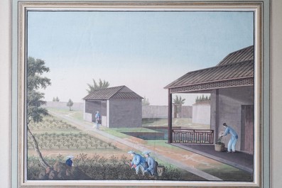 Chinese school, Canton, watercolour on paper, 19th C.: Four tea production scenes