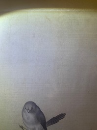 Chinese school, 19th C., ink and colour on silk: 'birds on blossoming branches'