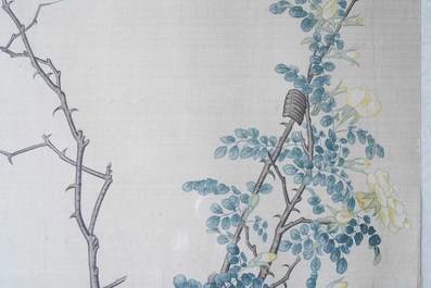 Chinese school, 19th C., ink and colour on silk: 'birds on blossoming branches'
