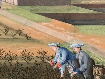 Chinese school, Canton, watercolour on paper, 19th C.: Four tea production scenes