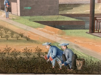 Chinese school, Canton, watercolour on paper, 19th C.: Four tea production scenes