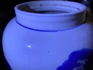 A Chinese blue and white 'deer and crane' vase, Kangxi