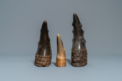 Trois S&ugrave;ng t&ecirc; giac ou objets de lettr&eacute; en corne de buffle, Vietnam, 19&egrave;me