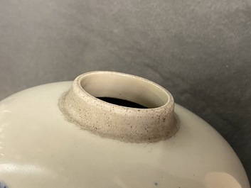 A Chinese blue and white 'deer and crane' vase, Kangxi
