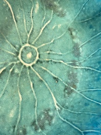 A Chinese turquoise-glazed lotus leaf-shaped brush washer, 18/19th C.