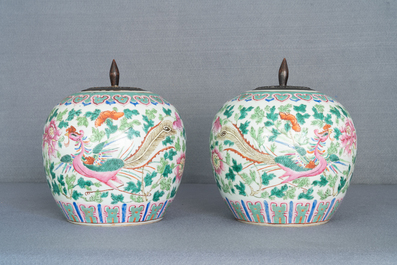 A pair of Chinese famille rose ginger jars with phoenixes, 19th C.