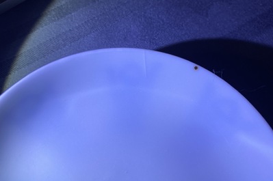 Une collection vari&eacute;e en porcelaine de Chine 'Bleu de Hue' pour le Vietnam, 19&egrave;me