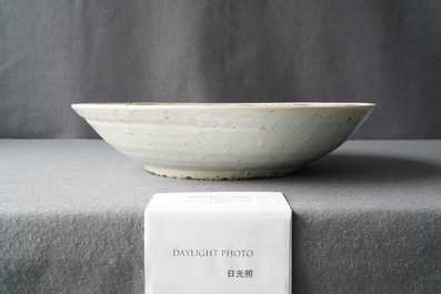 A Chinese Swatow dish with a Buddhist lion, Ming